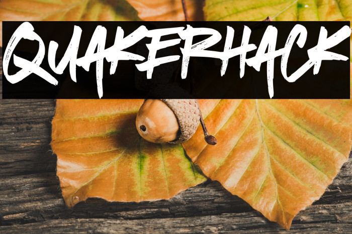 Quakerhack Example 3