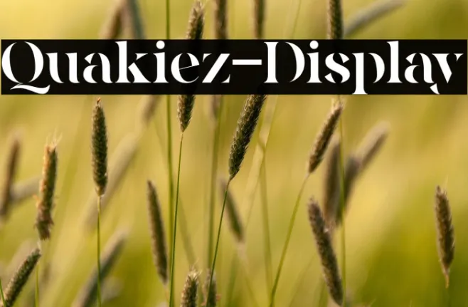 Quakiez-Display Example 1