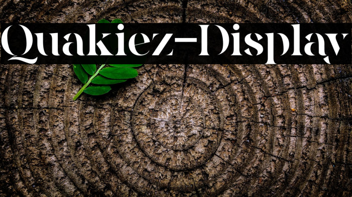 Quakiez-Display Example 2