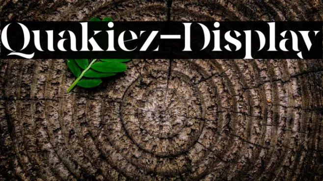 Quakiez-Display Example 2