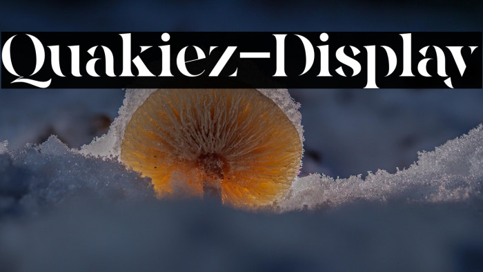 Quakiez-Display Example 3