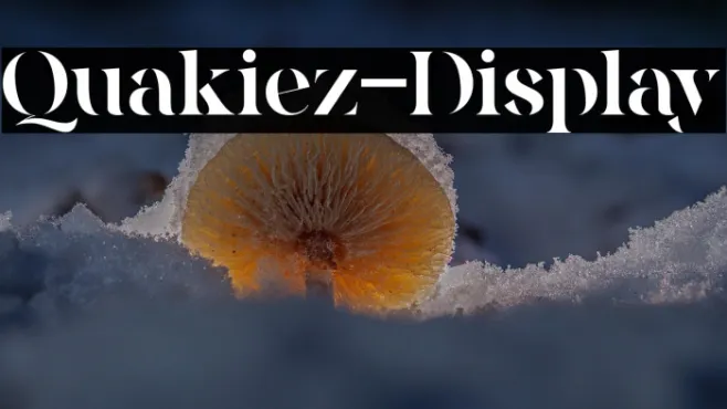 Quakiez-Display Example 3