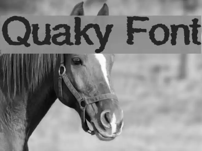 Quaky Font examples