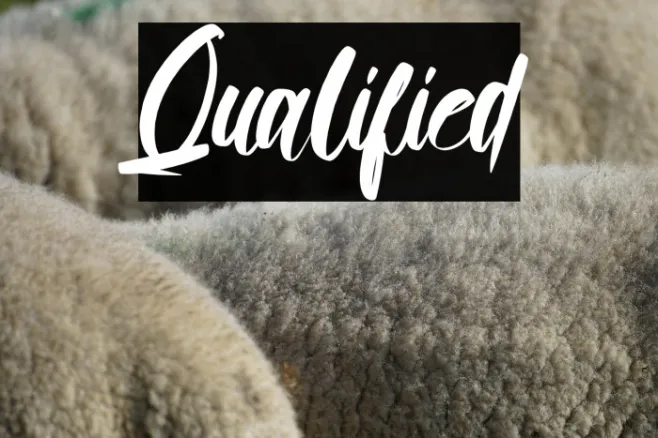 Qualified Example 3