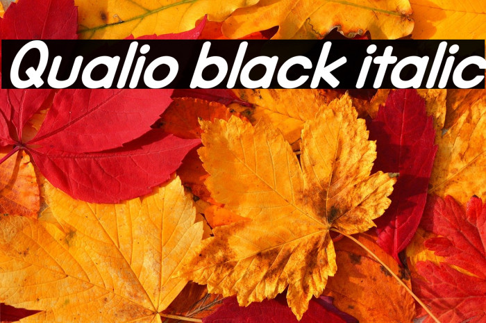 Qualio black italic Example 2