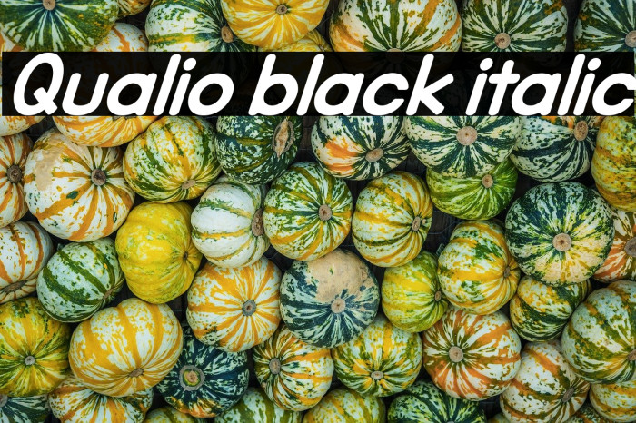 Qualio black italic Example 3
