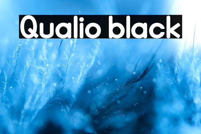 Qualio black Example 1
