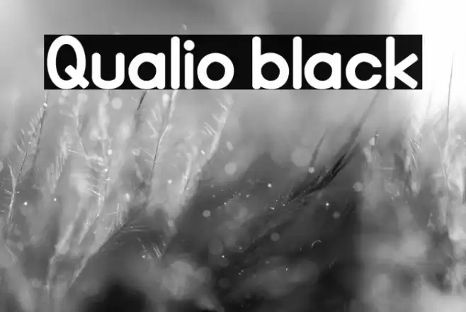 Qualio black Font examples