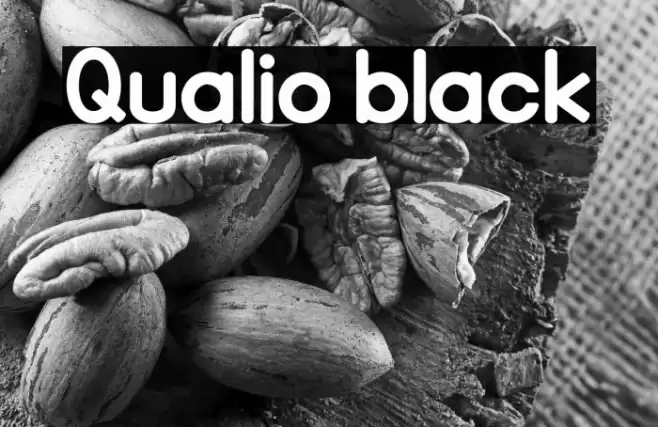 Qualio black Font examples
