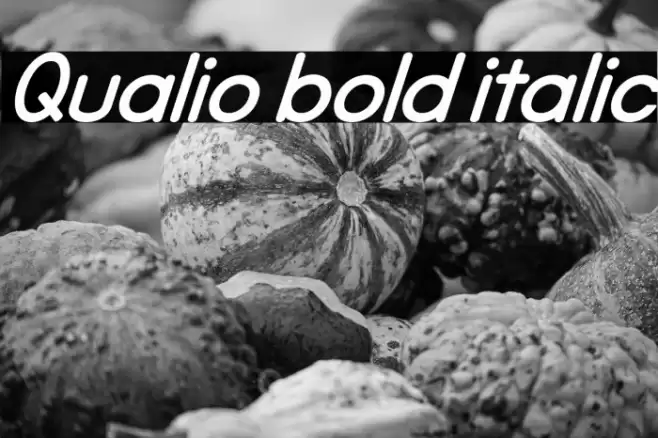 Qualio bold italic Font examples