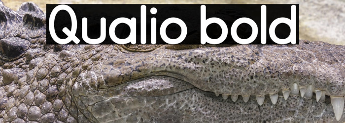 Qualio bold Example 1