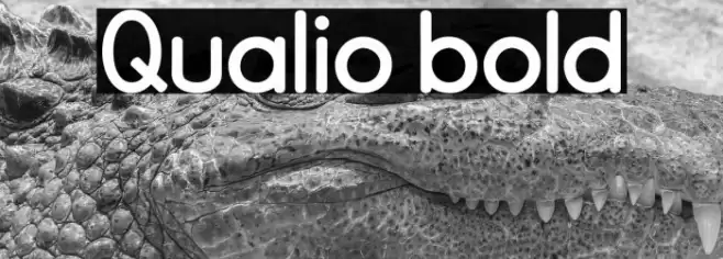 Qualio bold Font examples