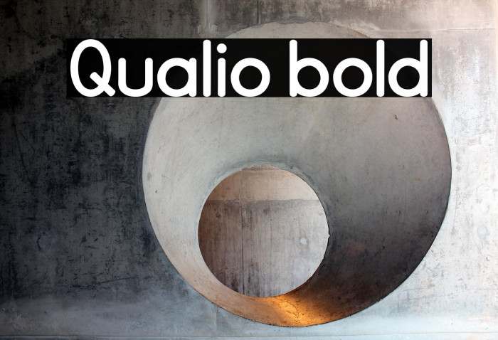 Qualio bold Example 3