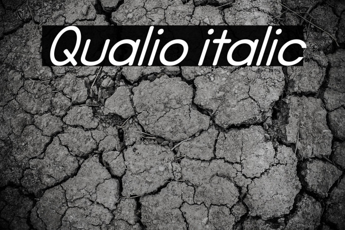 Qualio italic Example 1