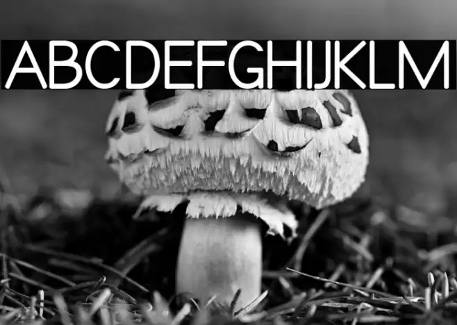 Qualio Font examples