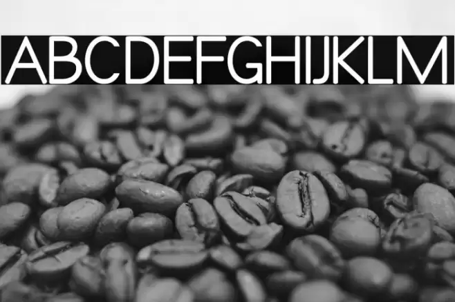 Qualio Font examples