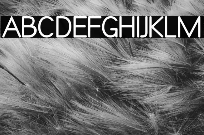 Qualio Font examples