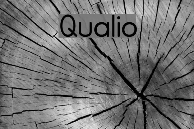 Qualio Font examples