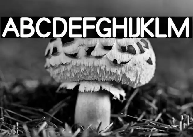 Qualioblack Font examples