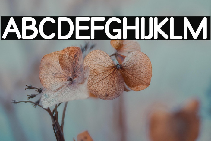 Qualioblack Example 2