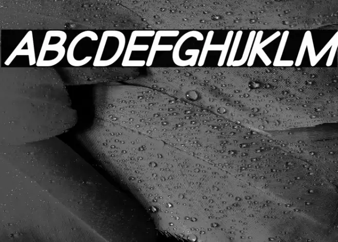 Qualioblackitalic Font examples