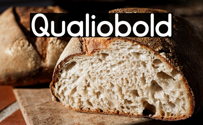 Qualiobold Example 2