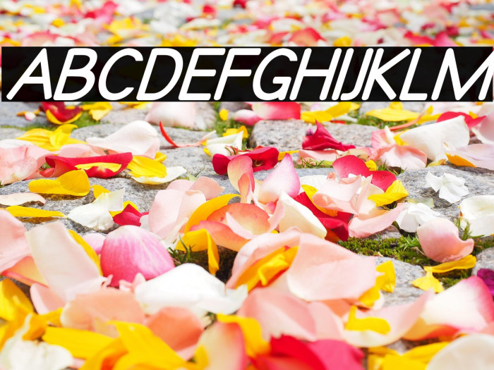 Qualiobolditalic Example 1