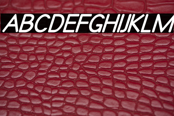 Qualiobolditalic Example 2