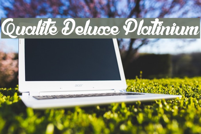 Qualité Deluxe Platinium Font examples