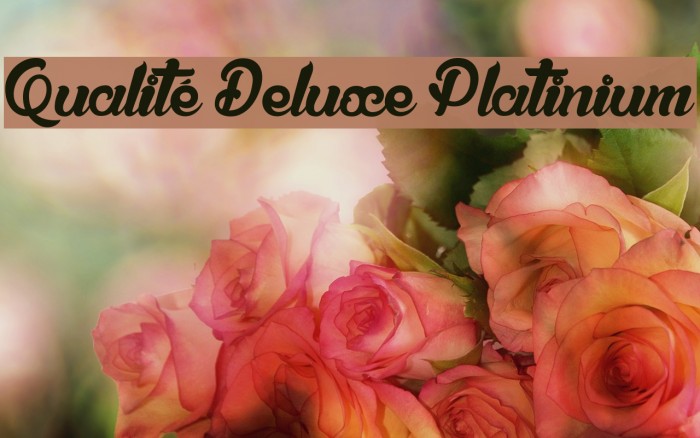 Qualité Deluxe Platinium Font examples