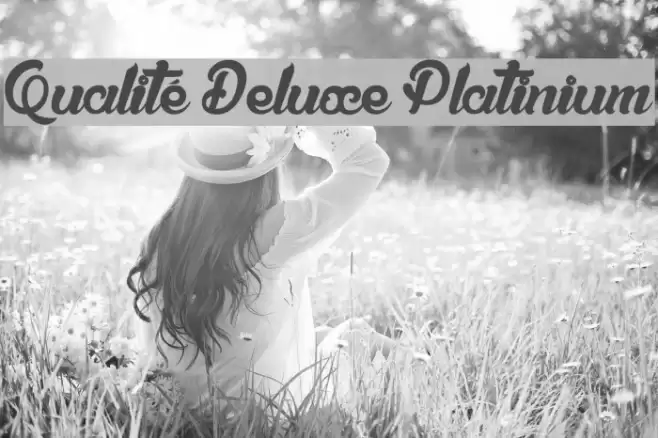 Qualité Deluxe Platinium Font examples