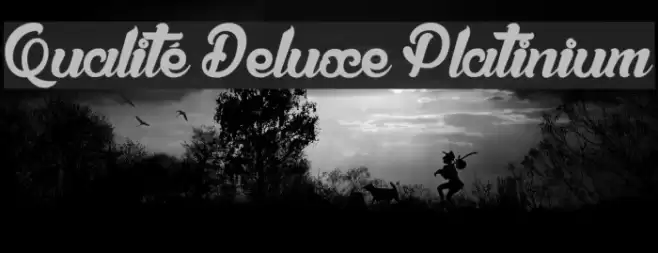 Qualité Deluxe Platinium Font examples