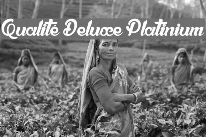 Qualité Deluxe Platinium Font examples