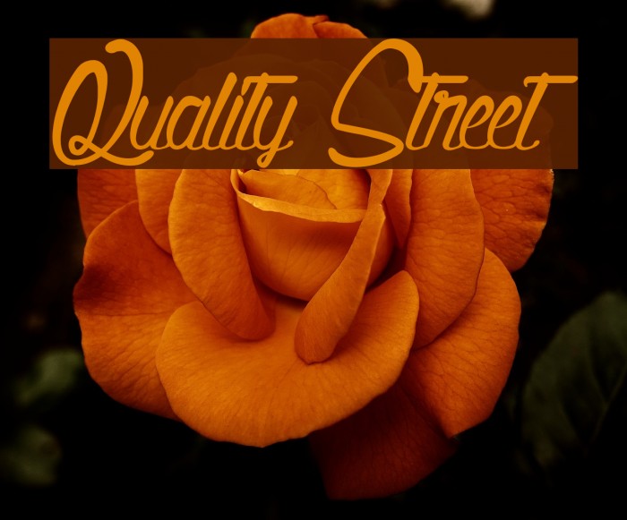 Quality Street Font examples