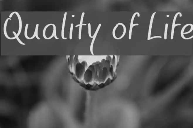Quality of Life Font examples