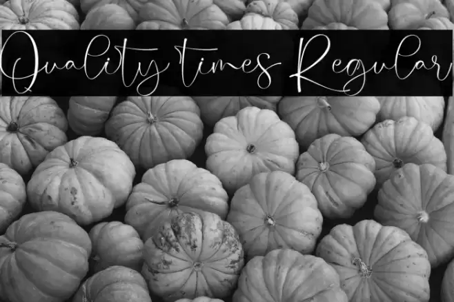 Quality times Regular Font examples
