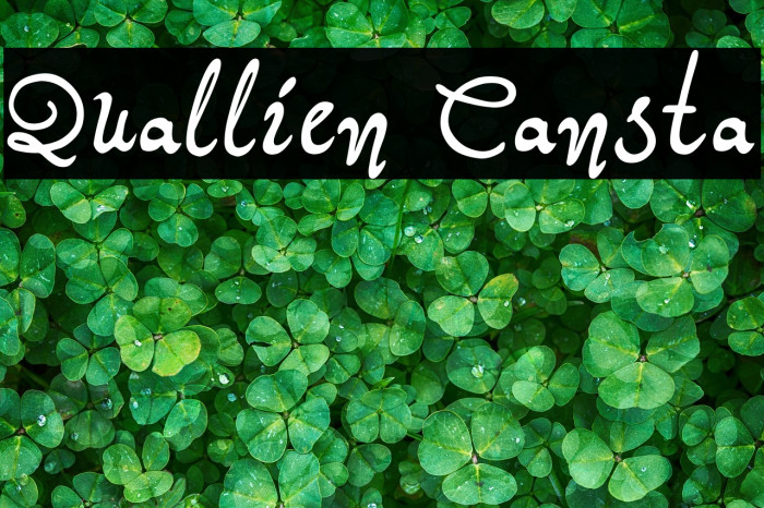 Quallien Cansta Example 3