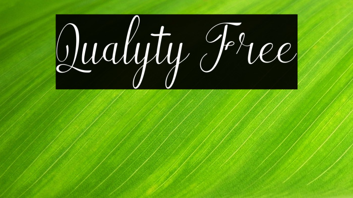 Qualyty Free Example 1