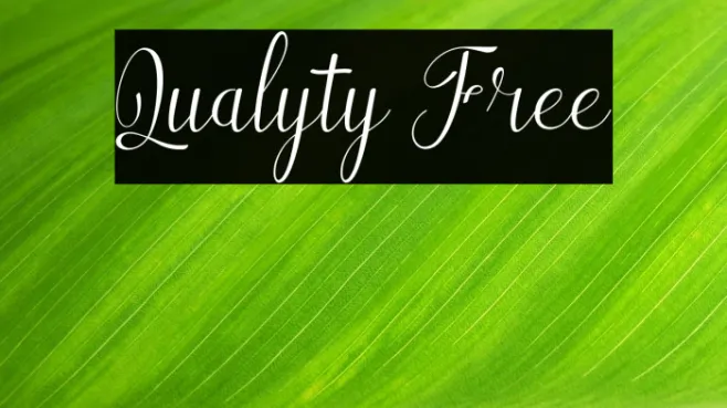 Qualyty Free Example 1
