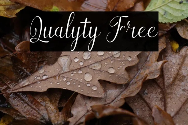 Qualyty Free Example 3