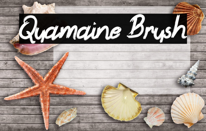 Quamaine Brush फ़ॉन्ट examples