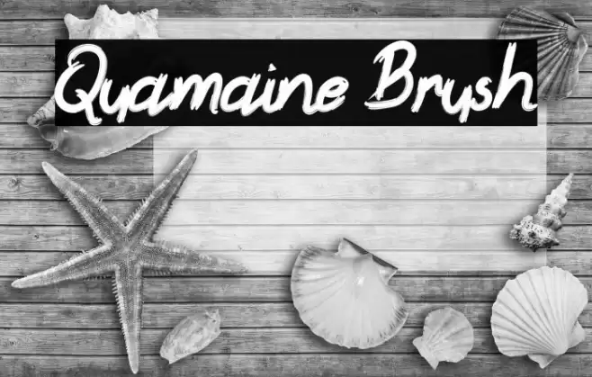Quamaine Brush Font examples