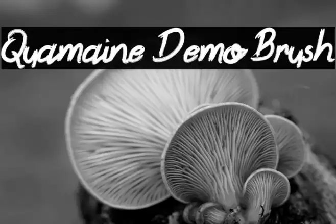 Quamaine Demo Brush Font examples