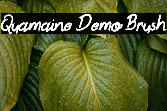 Quamaine Demo Brush Example 2