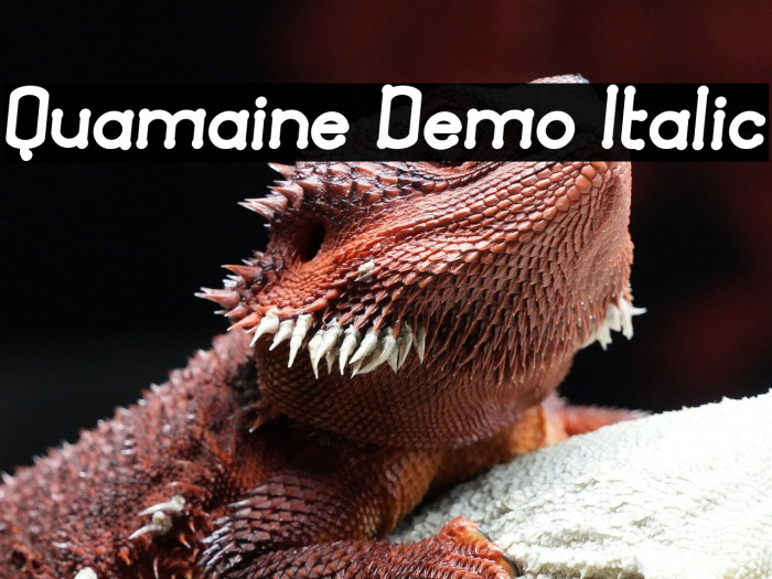 Quamaine Demo Italic Example 3