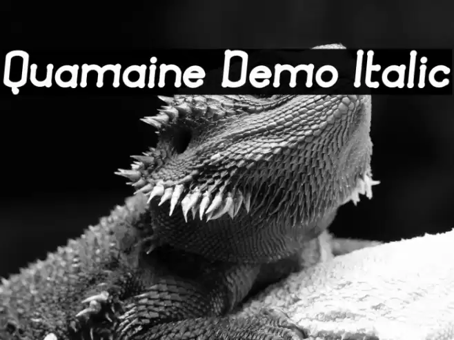 Quamaine Demo Italic Font examples