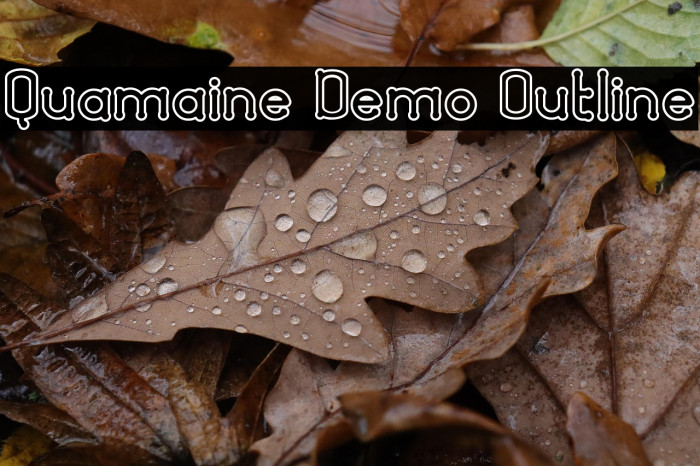 Quamaine Demo Outline Example 3