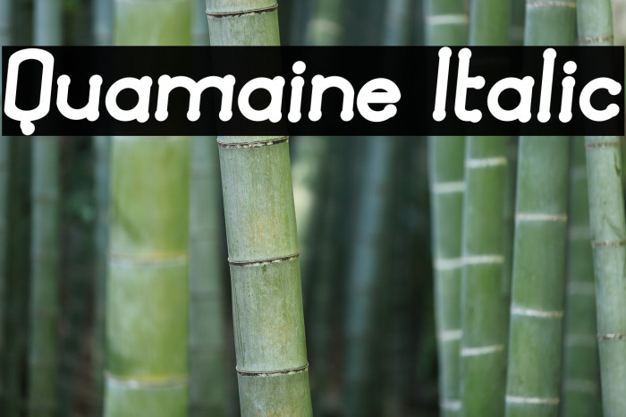 Quamaine Italic Font examples