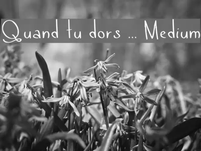 Quand tu dors ... Medium Font examples