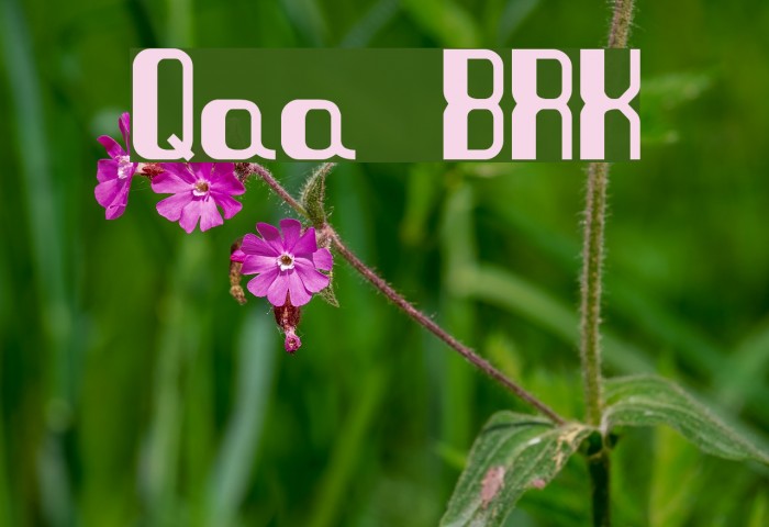 Quandary BRK Font examples